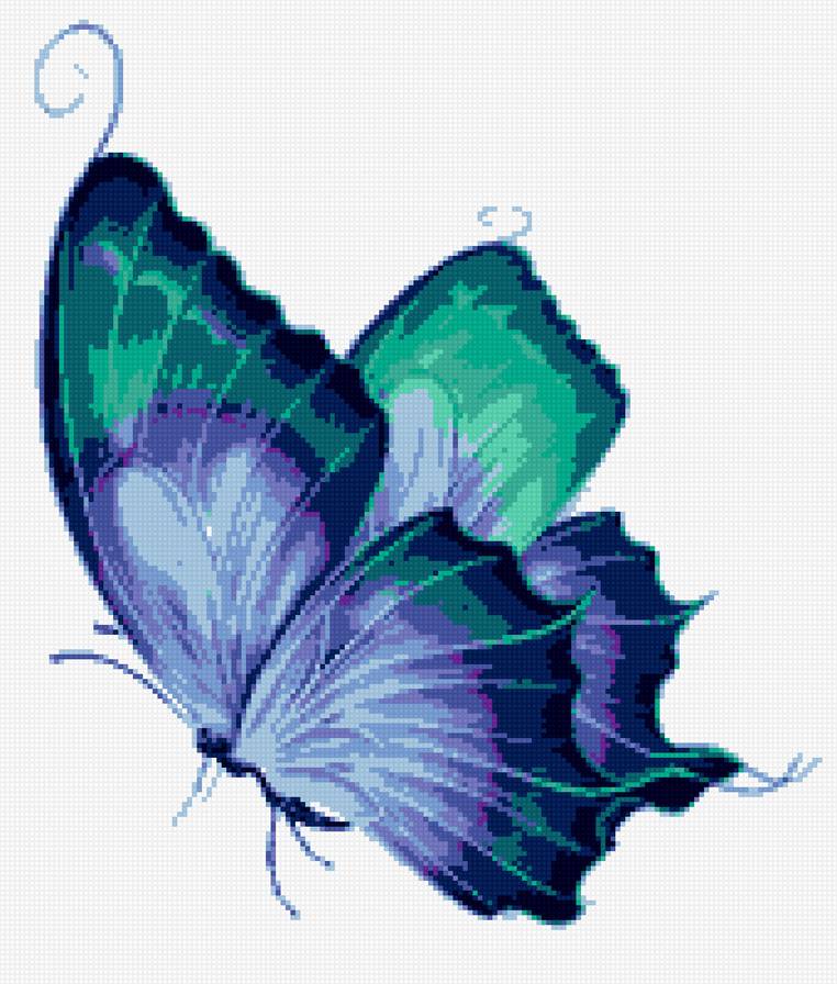 бабочка - предпросмотр