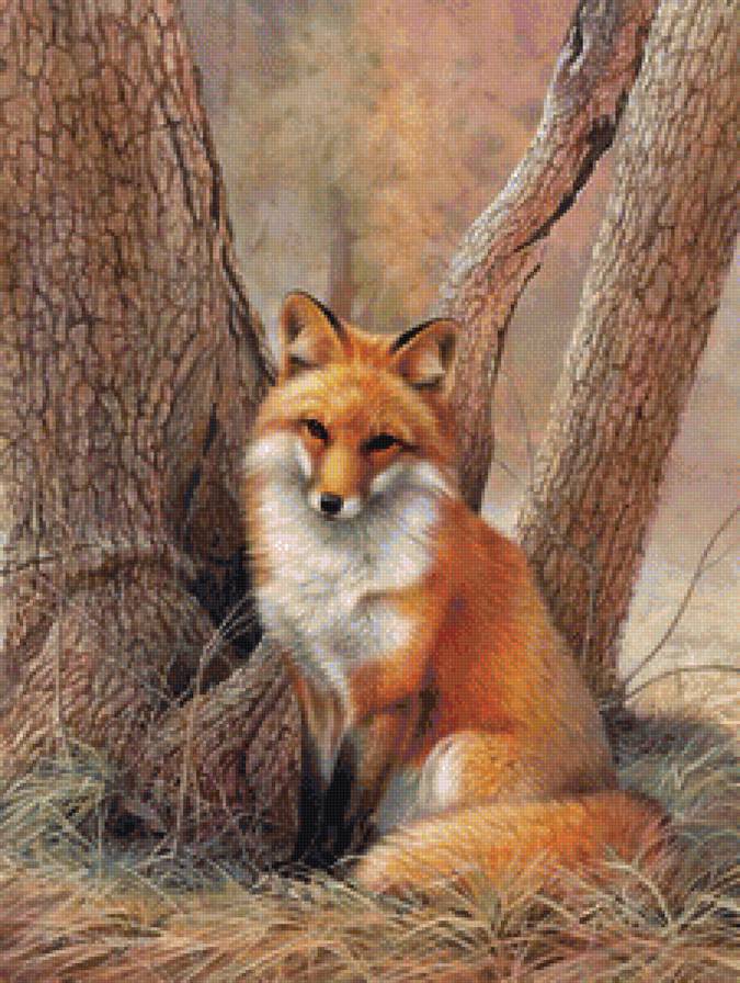 Лисичка - животные, лес, природа - предпросмотр