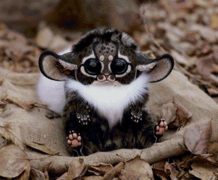 Волшебный зверек - лес, природа, животные - предпросмотр