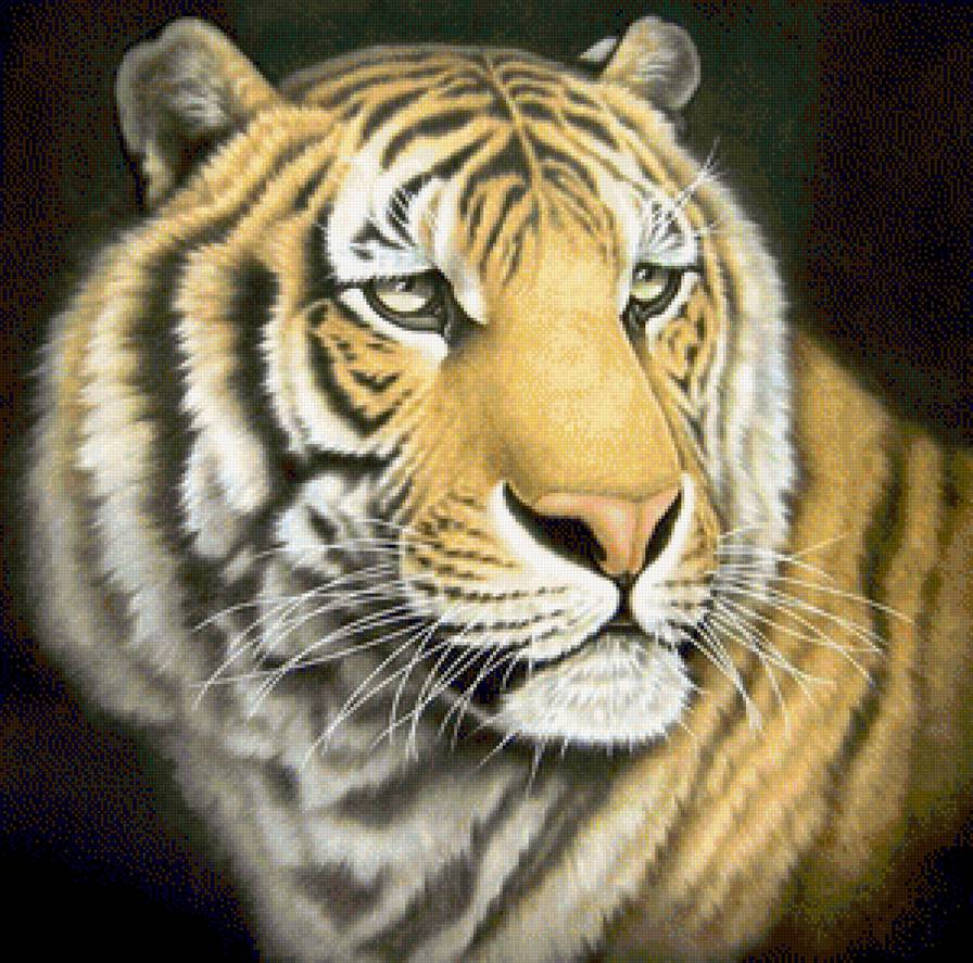 Тигр - животные, дикие кошки - предпросмотр