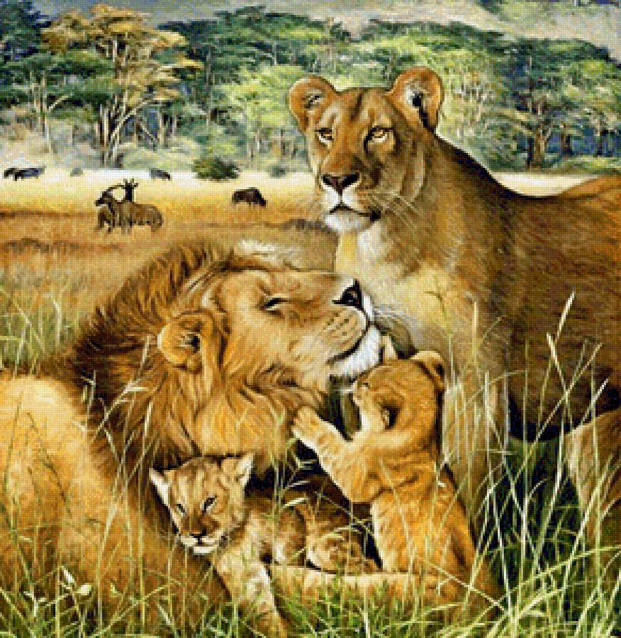 Львиное семейство - львы, дикие кошки, животные - предпросмотр