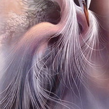 Схема вышивки «Цапли»