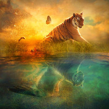 Схема вышивки «Ангел Тигра»