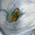 Предпросмотр схемы вышивки «цветы» (№1145747)