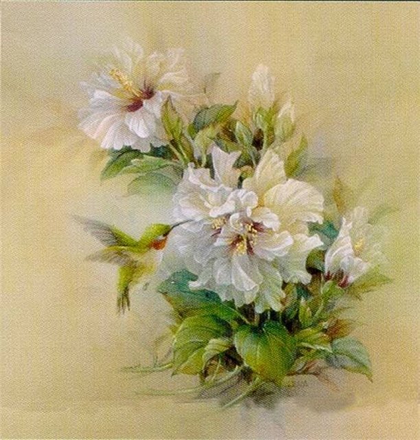 Колибри - птицы - оригинал