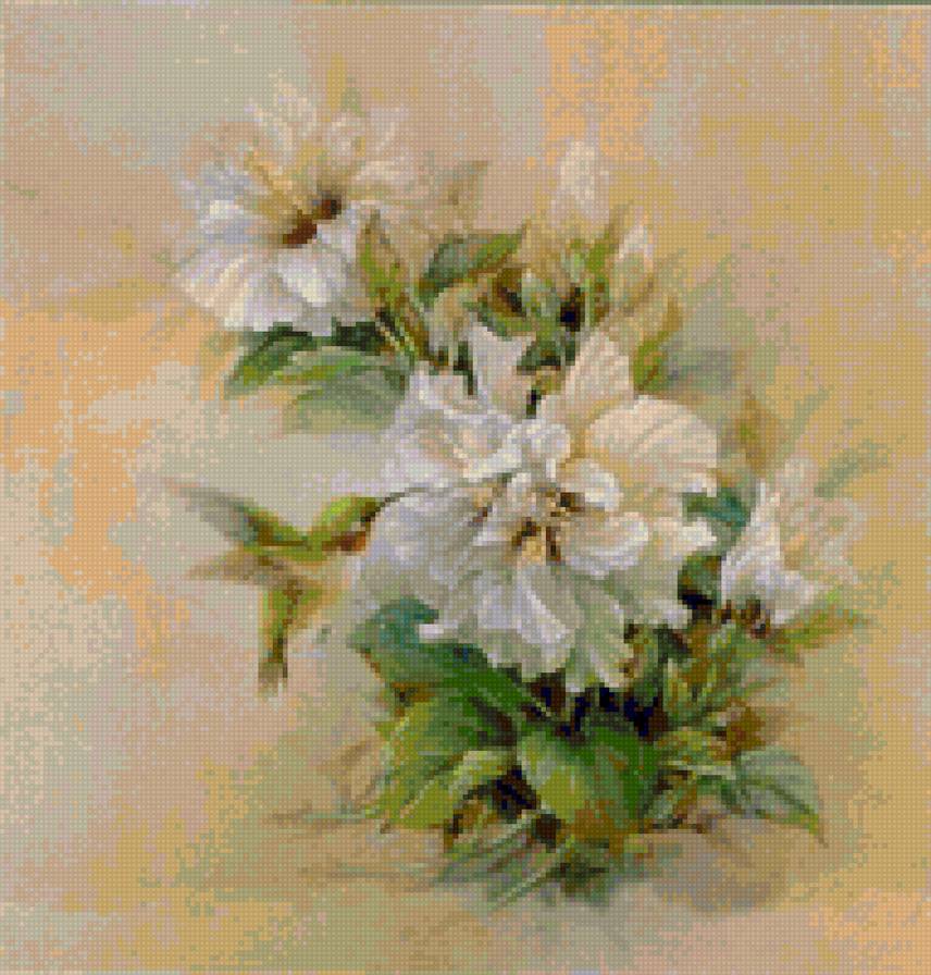 Колибри - птицы - предпросмотр