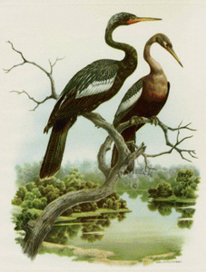 Птицы на ветке - вышивка крестом - предпросмотр