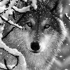 Схема вышивки «№1145945»