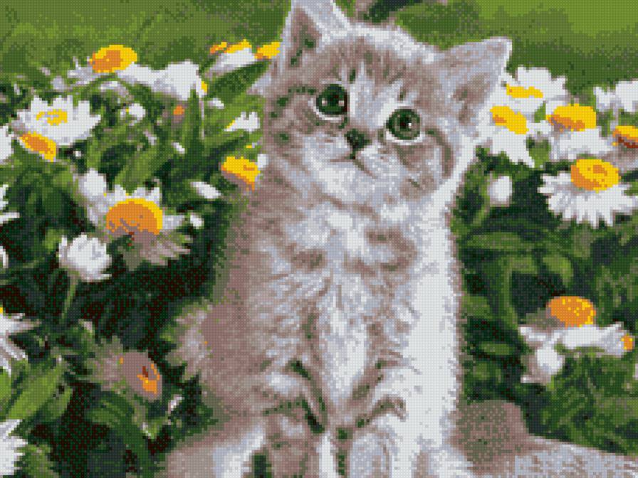 котенок на клумбе - предпросмотр