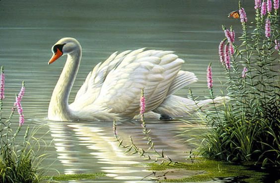 №1146749 - оригинал