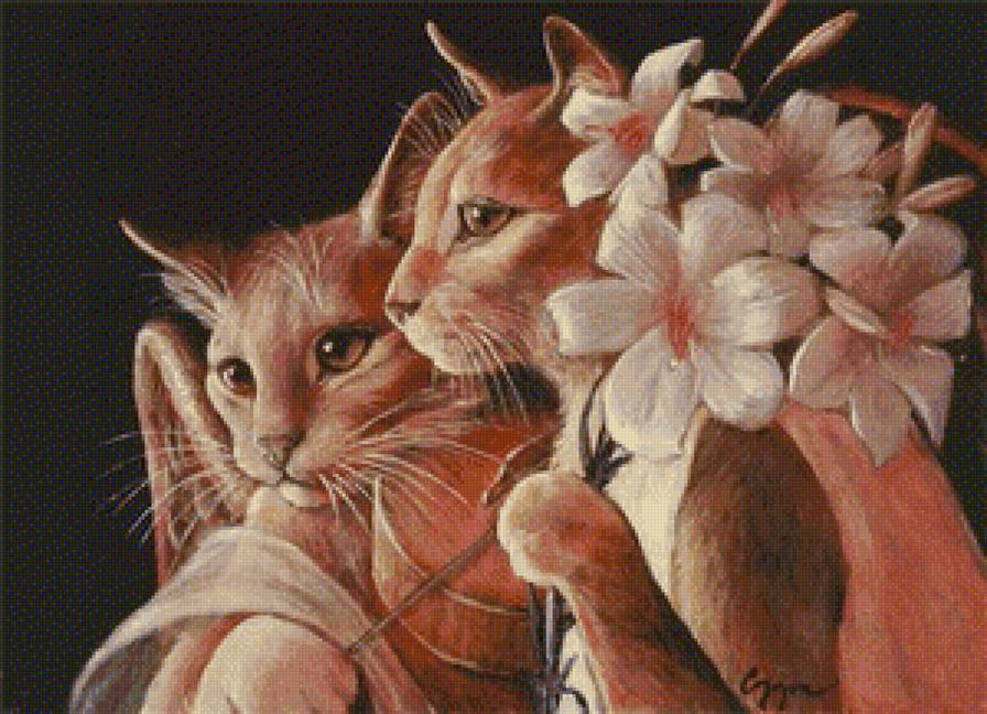 пара - кошки - предпросмотр