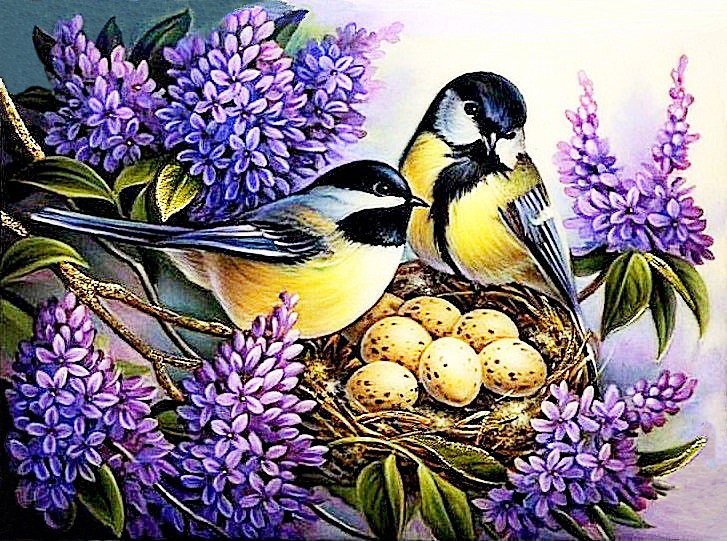 Синички у гнезда - птицы, цветы - оригинал