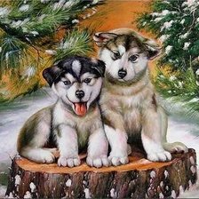 Схема вышивки «№1147564»