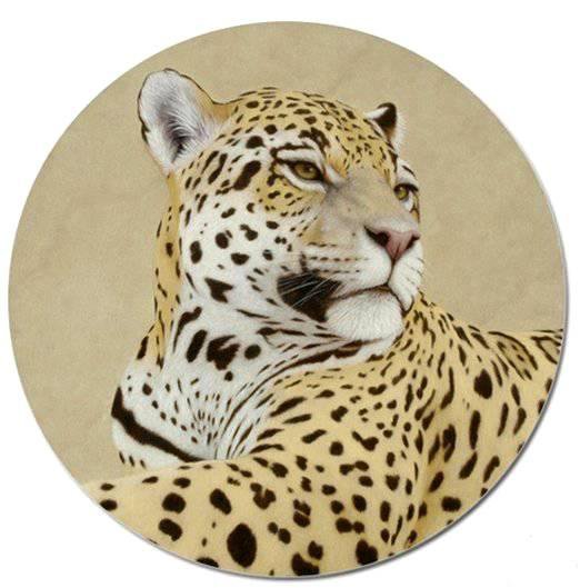 Ягуар - животные, дикие кошки - оригинал