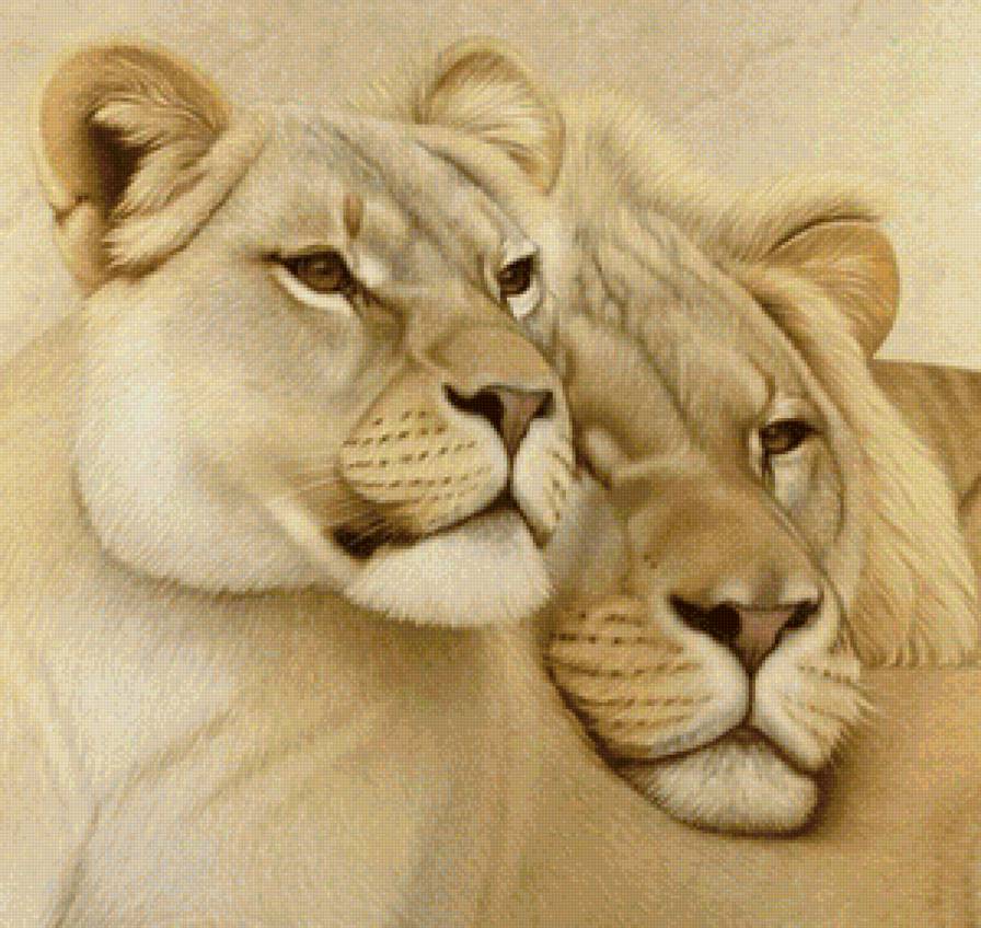 Он и она - дикие кошки, животные, лев - предпросмотр