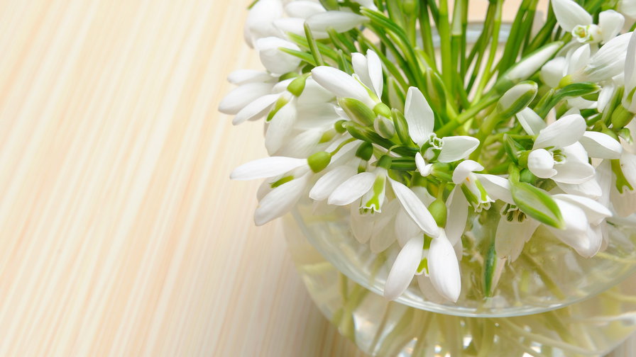 Первоцветы - подснежники - оригинал