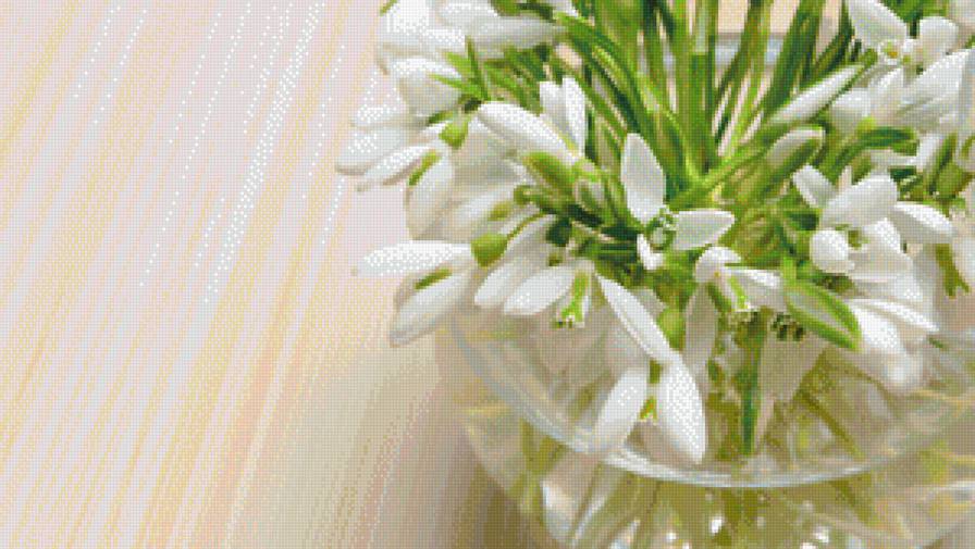 Первоцветы - подснежники - предпросмотр