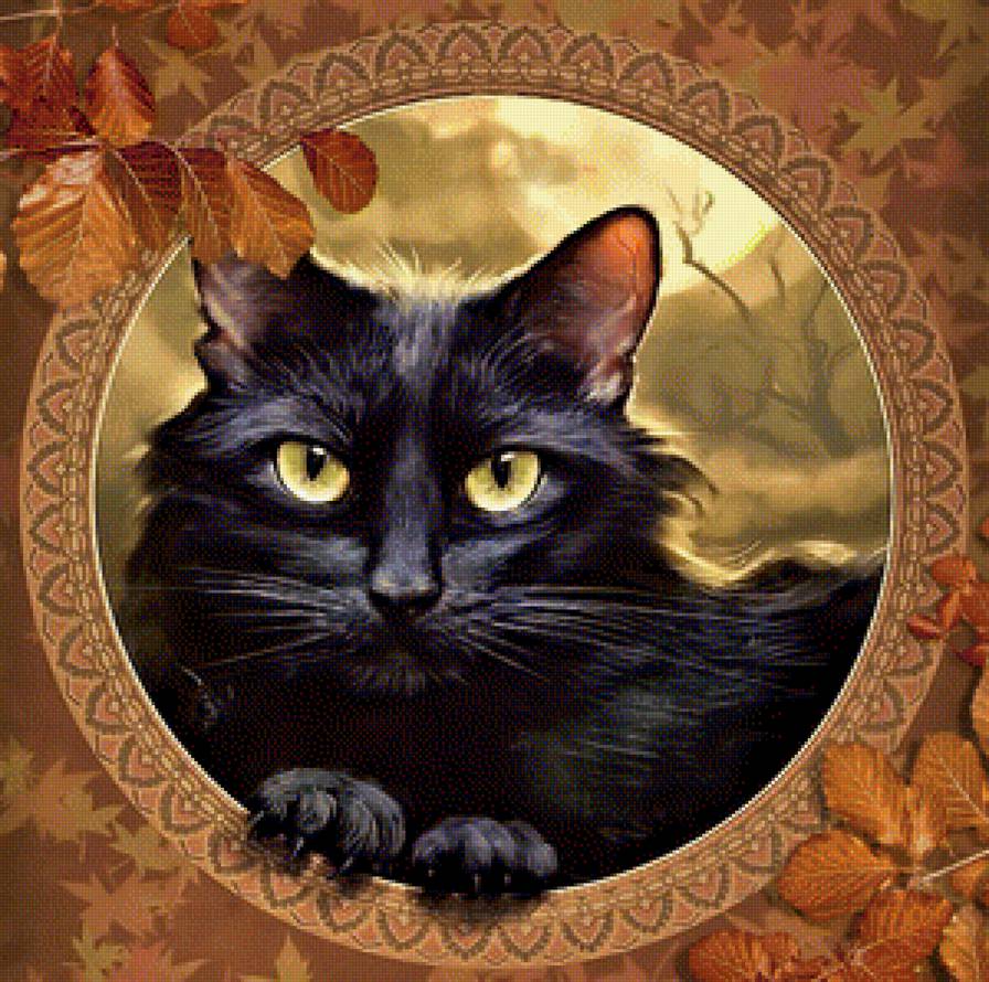 осенний кот - черный кот, портрет, листья, осень - предпросмотр