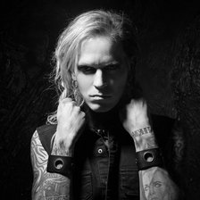 Схема вышивки «Chris Lord Harms»