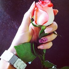 Схема вышивки «троянда»