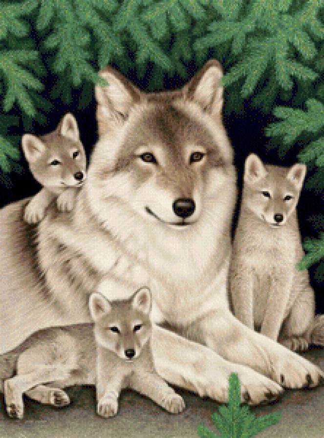 Волчье семейство - волки, животные, мать и дети, природа, волчата, лес - предпросмотр