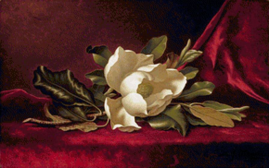 Магнолия на красном бархате - магнолия на красном бархате, цветы - предпросмотр