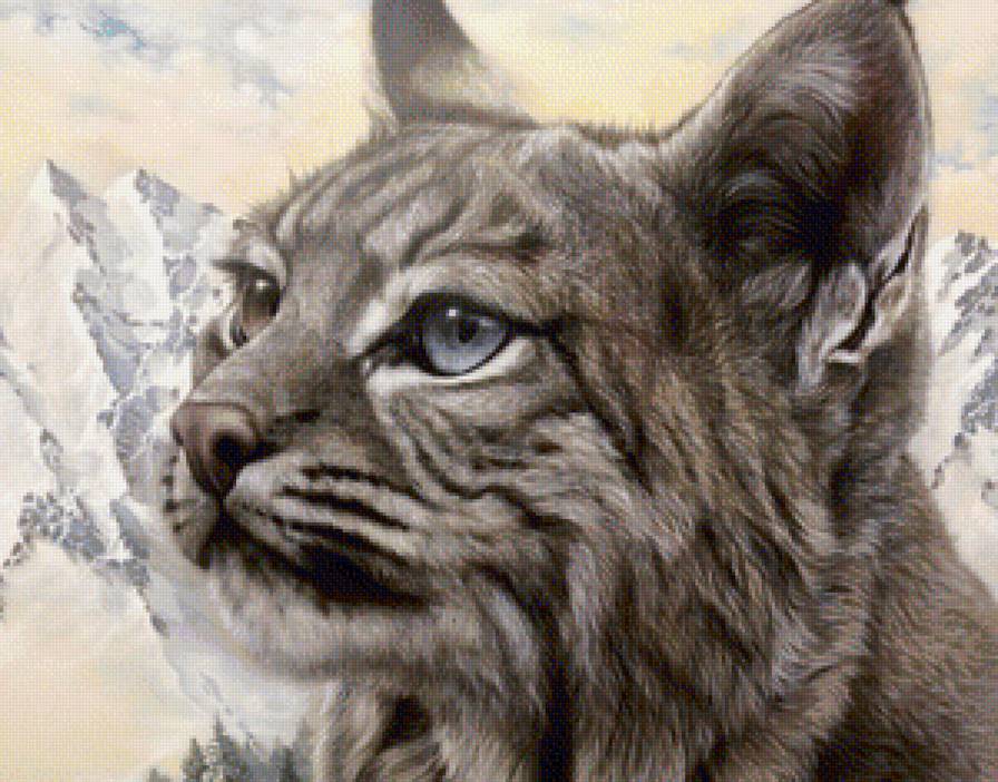 Рысь - животные, дикие кошки - предпросмотр