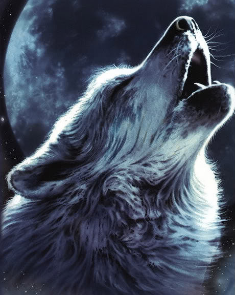 Воющий на луну - луна, волк - оригинал
