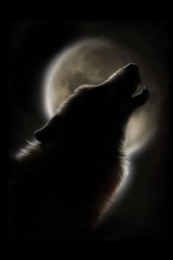 Волк - волк - оригинал