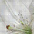 Предпросмотр схемы вышивки «Лилии» (№1148869)