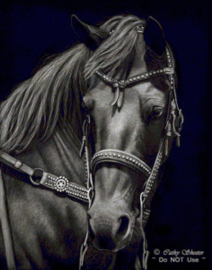 №1149010 - предпросмотр