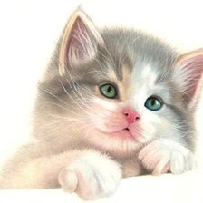 Схема вышивки «№1149400»