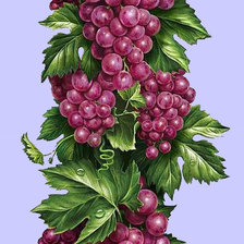 Схема вышивки «лоза»