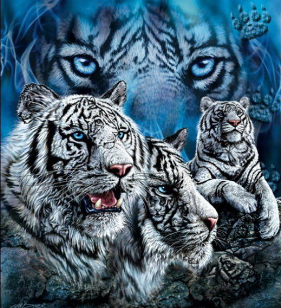 Белые тигры - животные, тигры, тотем - оригинал