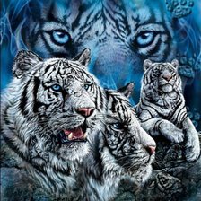 Оригинал схемы вышивки «Белые тигры» (№1149969)