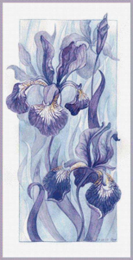 Нежные ирисы - цветы - предпросмотр