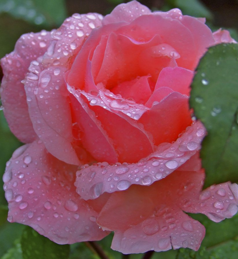 №1150121 - оригинал