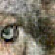 Предпросмотр схемы вышивки «Волки» (№1150412)