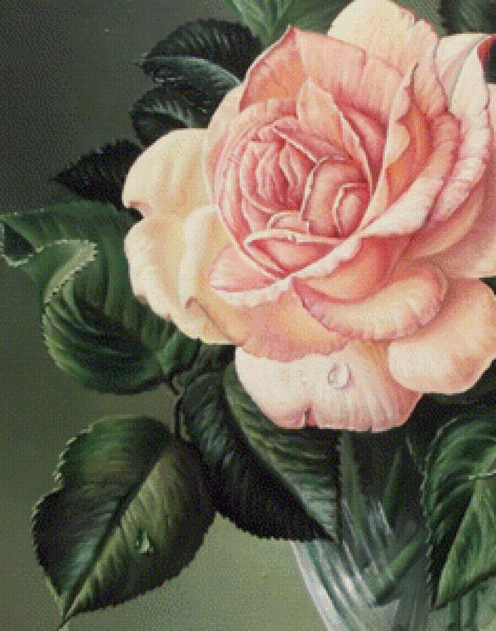 цветы - предпросмотр