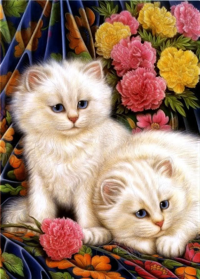 персидские котята - персидские котята - оригинал
