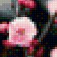 Предпросмотр схемы вышивки «К 8 марта» (№1152515)