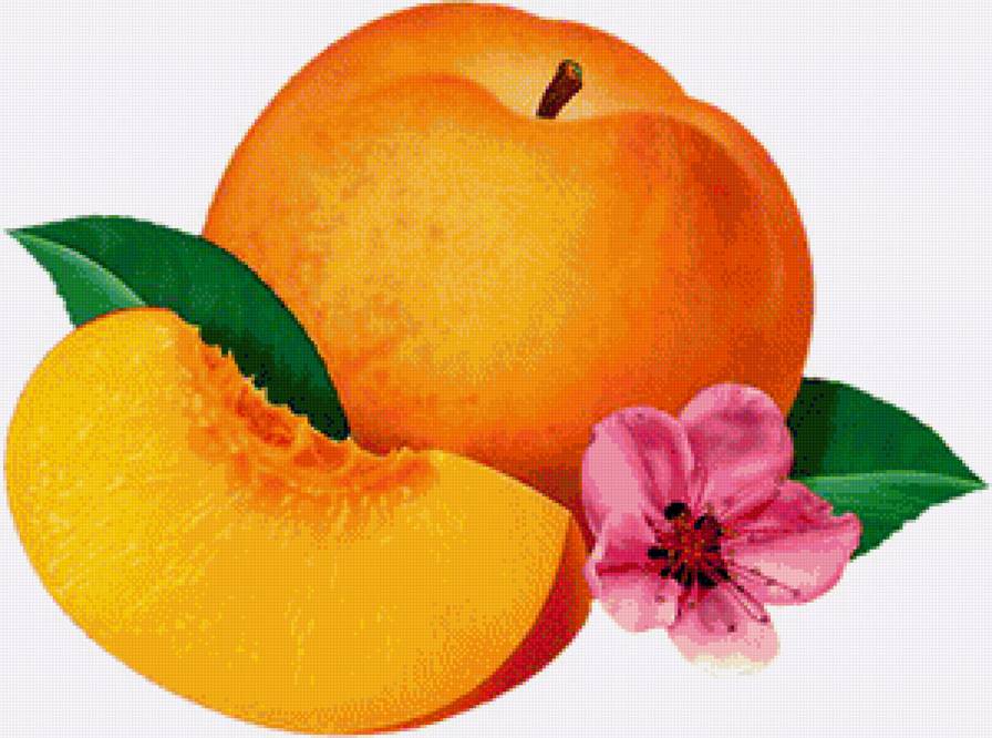 Сочный абрикосик - фрукты, цветы, натюрморт, абрикосы, для кухни - предпросмотр