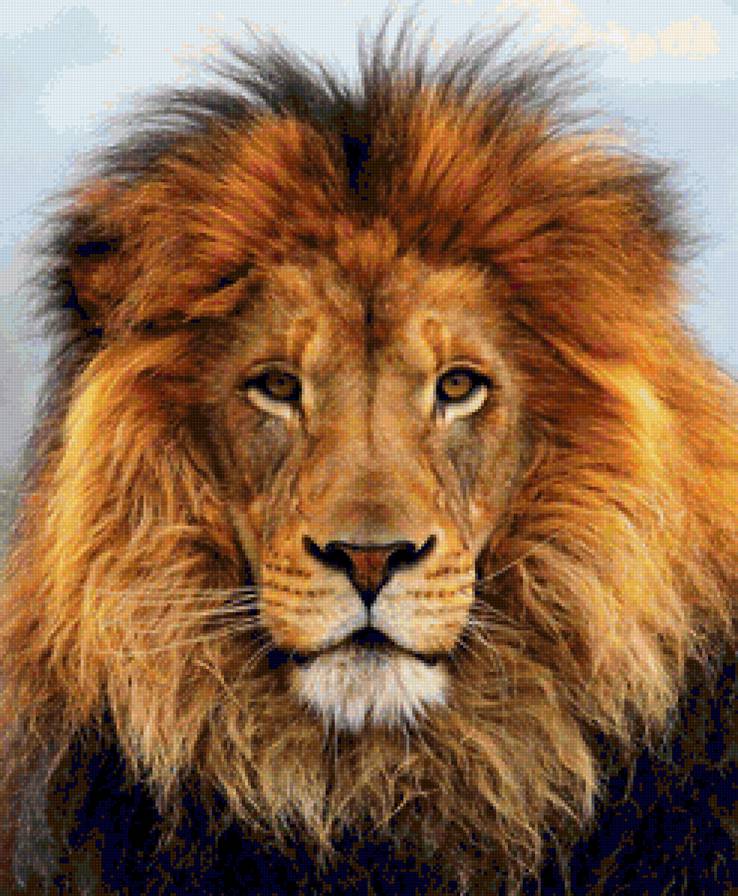 лев - лев - предпросмотр