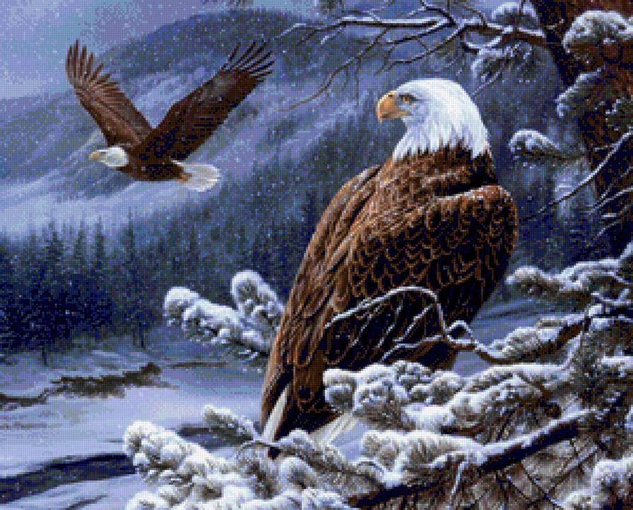 орел - орел - предпросмотр