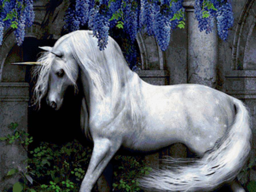 единорог - единорог - предпросмотр