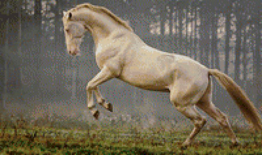 Ахалтекинец - лошадь, конь, животное, красавец - предпросмотр