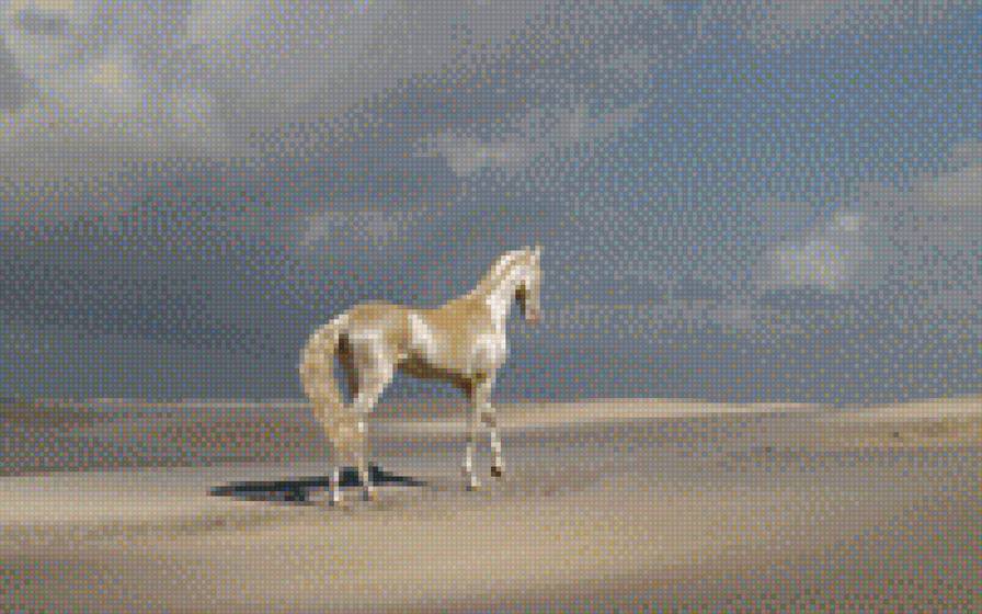 Красивый конь - предпросмотр