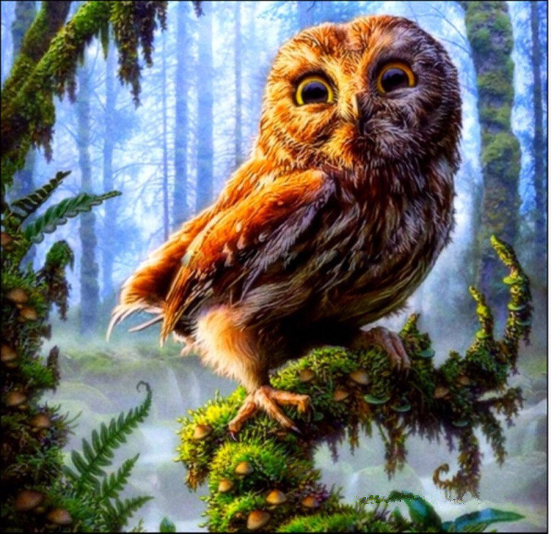 №1154486 - оригинал