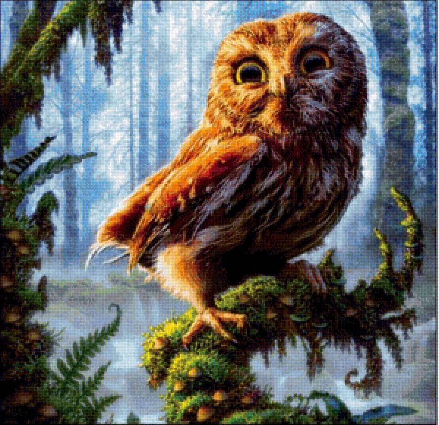 №1154486 - предпросмотр