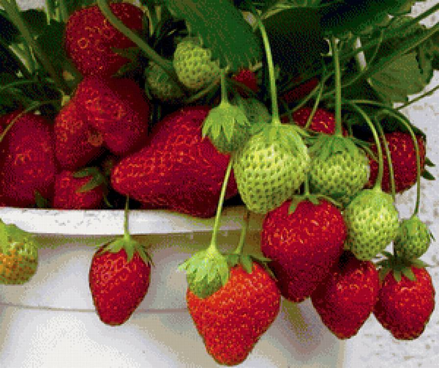 клубника - фрукты - предпросмотр